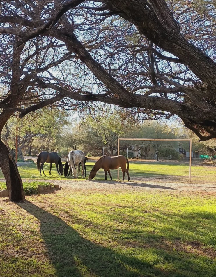 LOTE DE 1.000 M2 EN CLUB DE CAMPO EL BOSQUE CIUDAD DE CAFAYATE