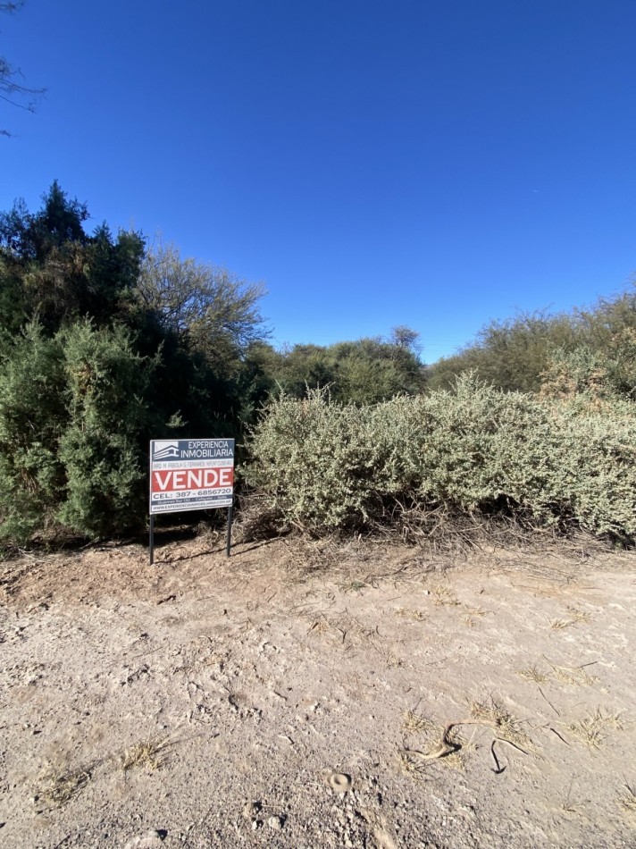 DOS LOTES SOÑADOS EN CLUB DE CAMPO EL BOSQUE EN LA CIUDAD DE CAFAYATE